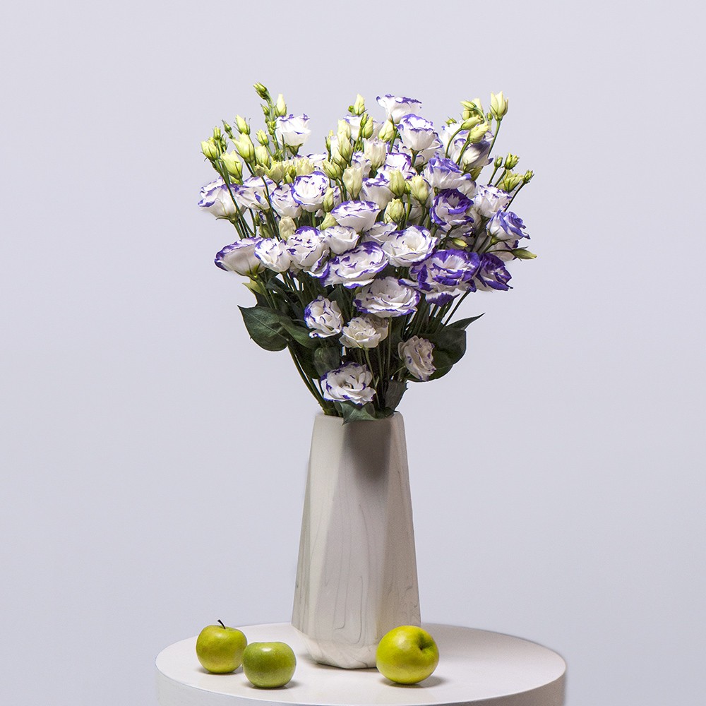 Лизиантус фиолетово-белый - купить цветы в Санкт Петербурге