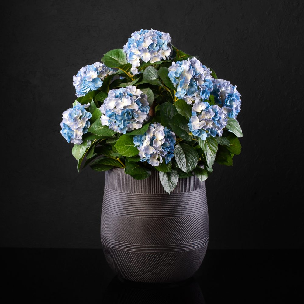 Искусственная гортензия большая голубая в кашпо - купить цветы в Санкт Петербурге
